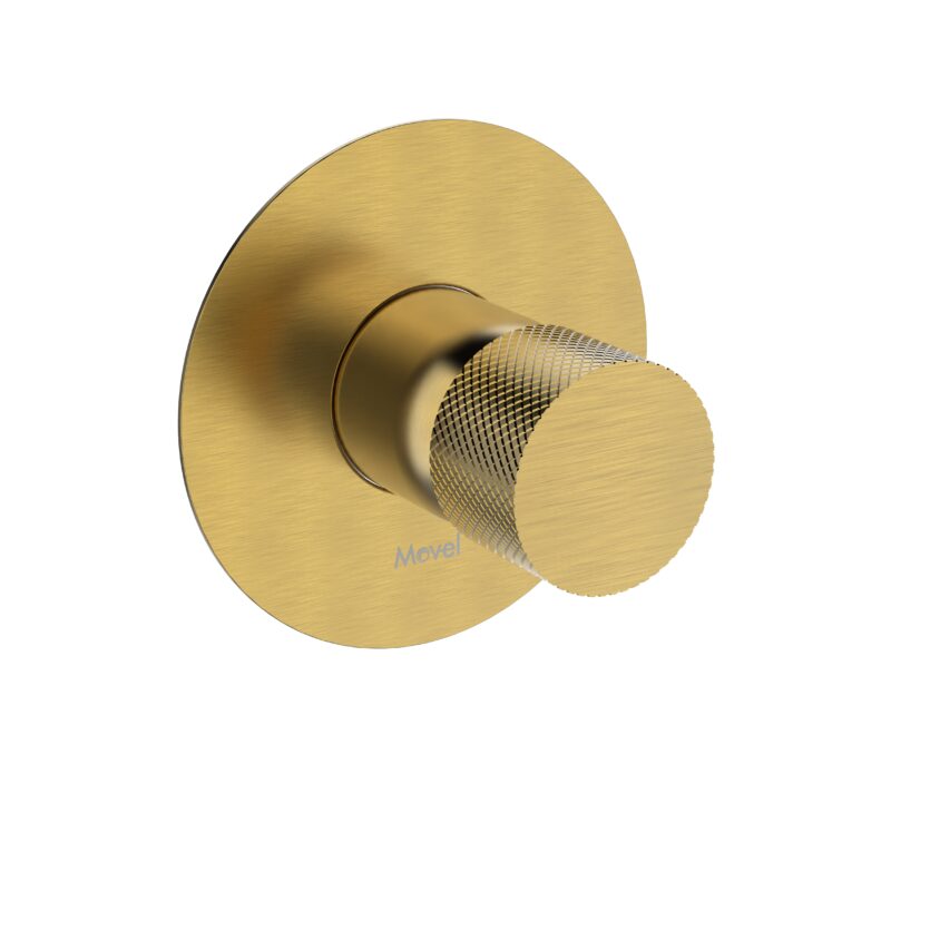 Acabamento Monocomando Chuveiro Round Base Docol Gold Escovado