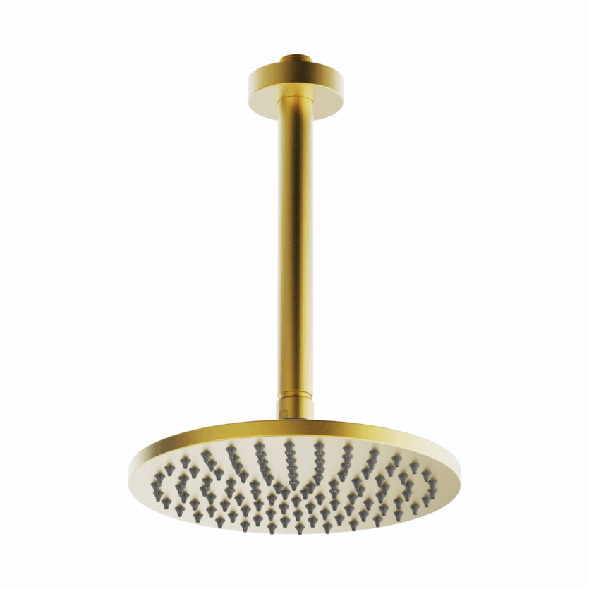 Chuveiro de Teto Round Gold Dourado Escovado